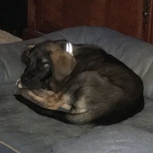 Meet your Posher, Cindy